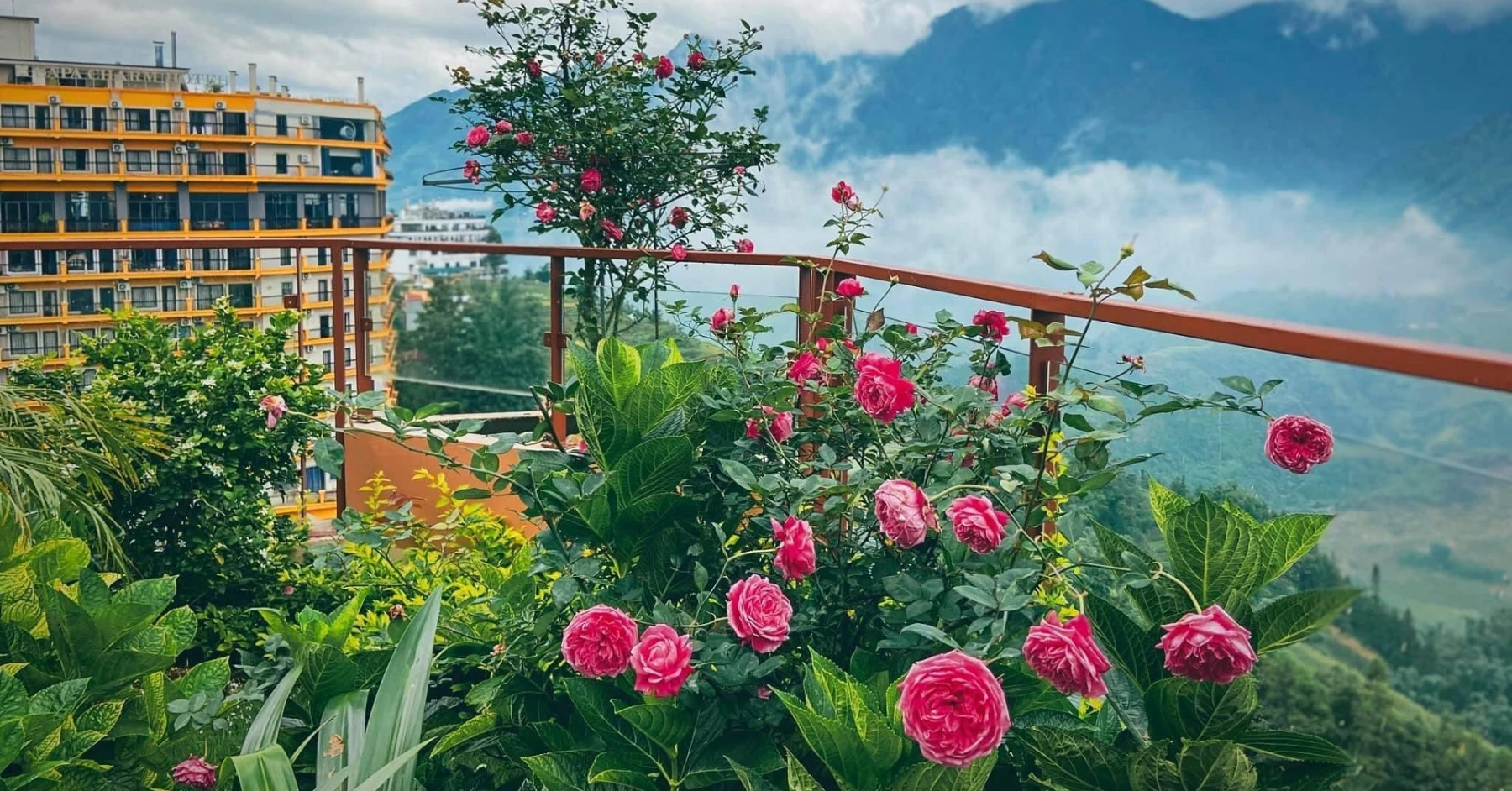 ROSE GARDEN - 3