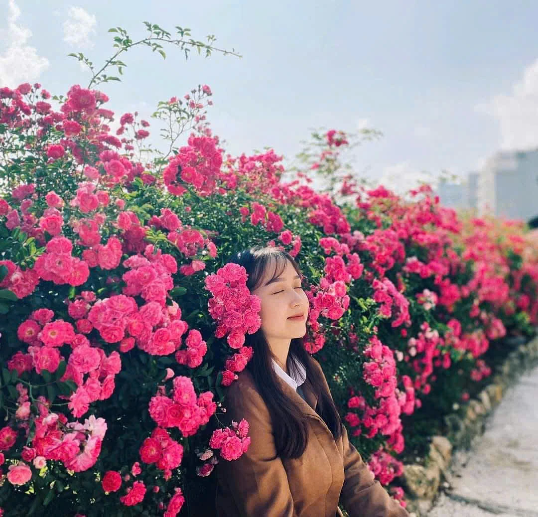 ROSE GARDEN - 5